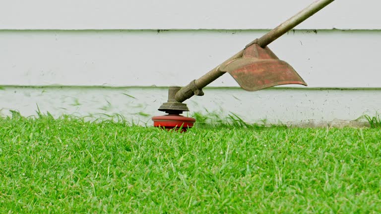 Best Pest Control for Lawns  in Tariffville, CT